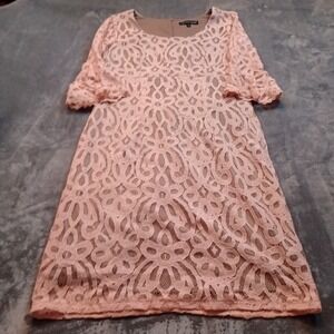 Chris McLaughlin Dress Womens Size 10 Blush Pink‎ Lace Overlay Lined Midi